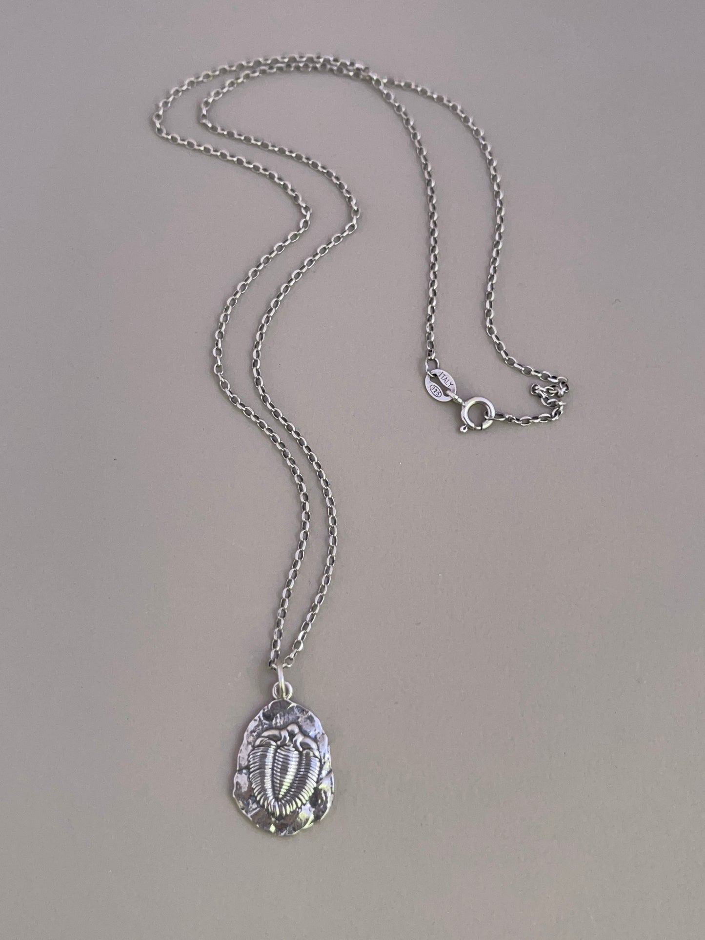 Silver Trilobite Fossil Pendant
